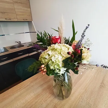Aparthause Gorce Apartmán *